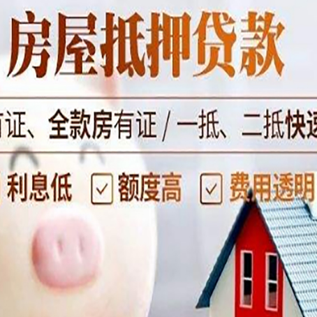 海珠贷款助贷公司新渝启服成立时间久